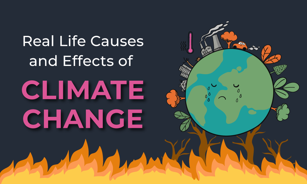 real-life-cause-and-effect-of-climate-change