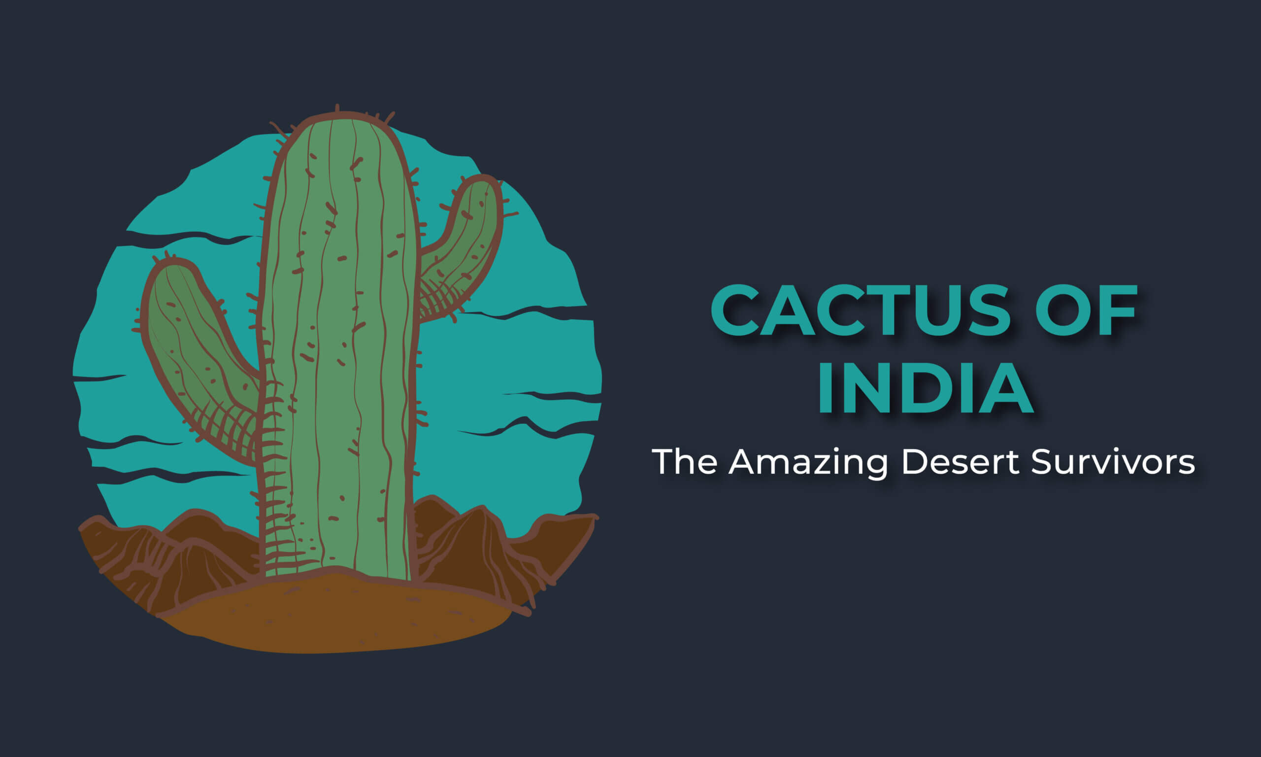 cacti of india